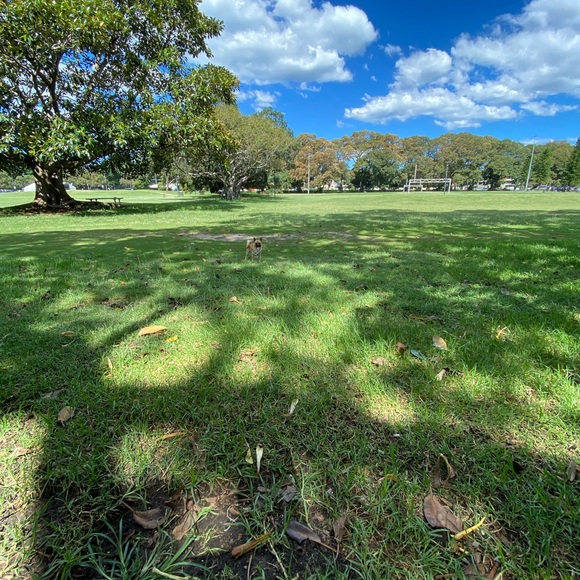 Meet your Posher, Maria - Picture 1 of 1